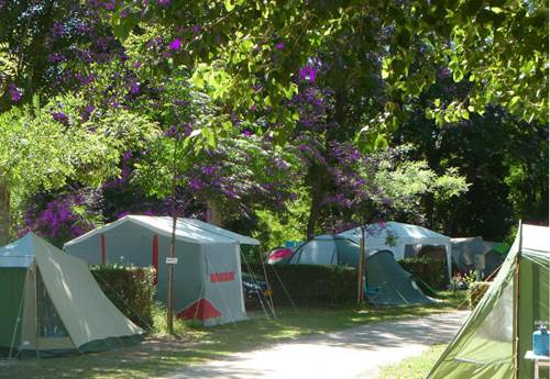 Camping La Grenouille - Allée